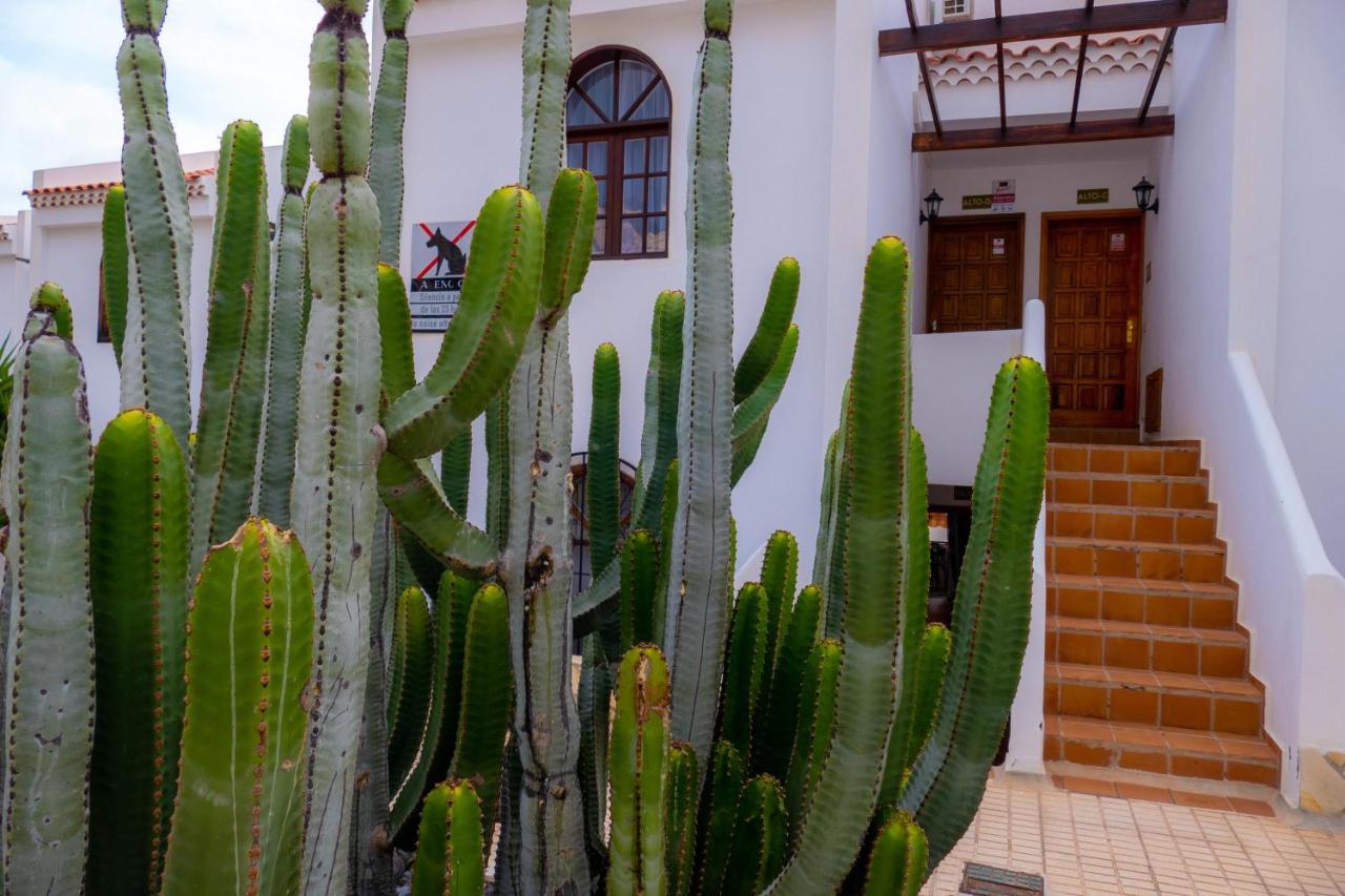 Las Bouganvillas 1 Bed Apartment In Costa Adeje Dış mekan fotoğraf